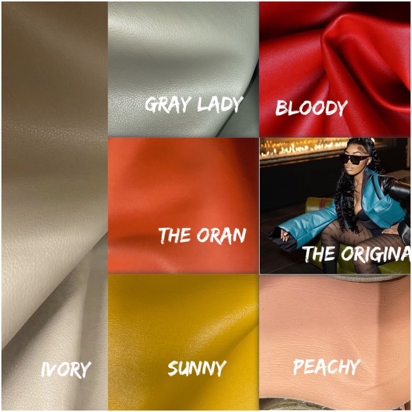 Shark Jacket