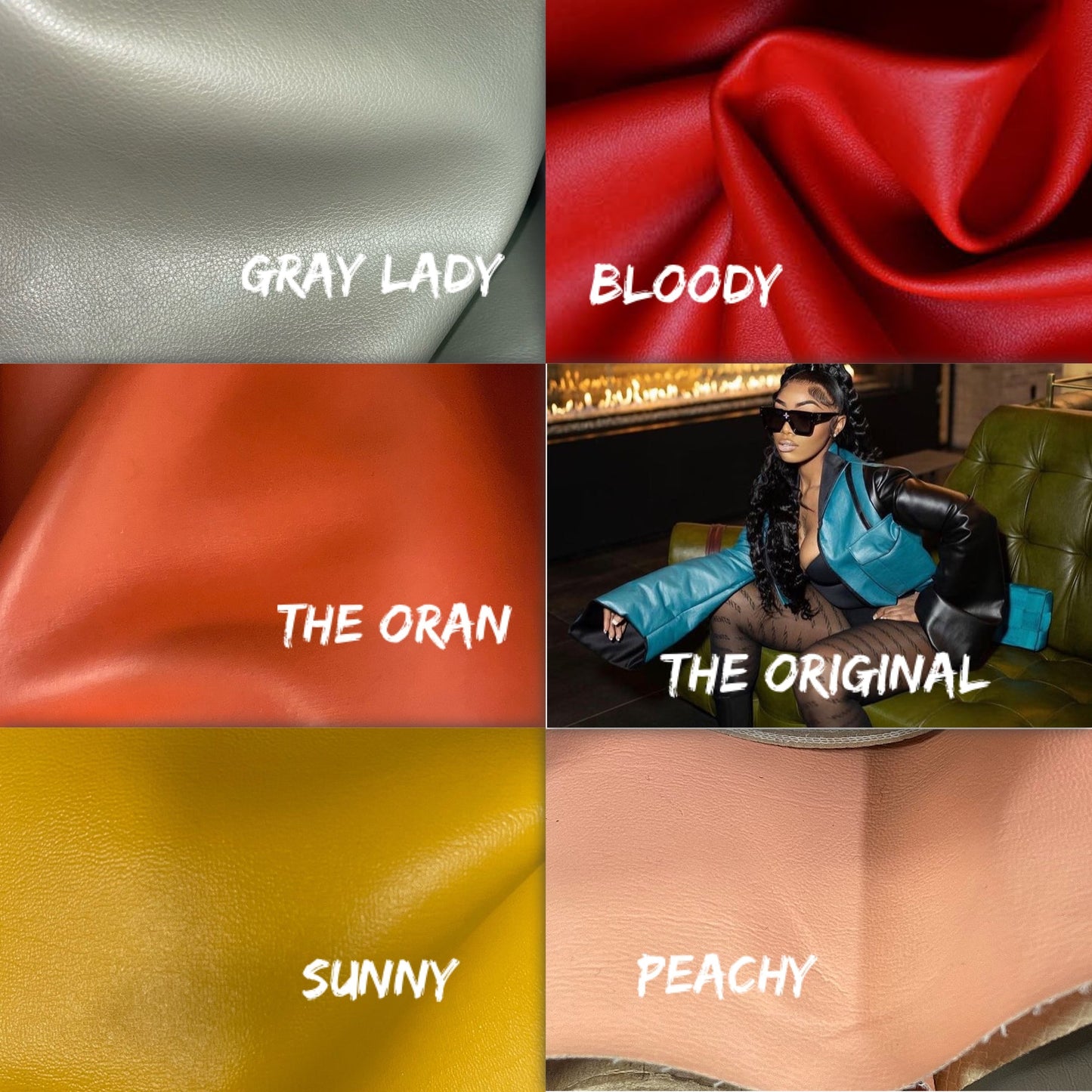 Shark Jacket